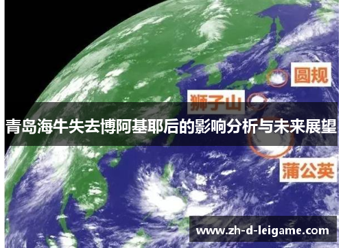 青岛海牛失去博阿基耶后的影响分析与未来展望 青岛海牛失去博阿基耶后的影响分析与未来展望